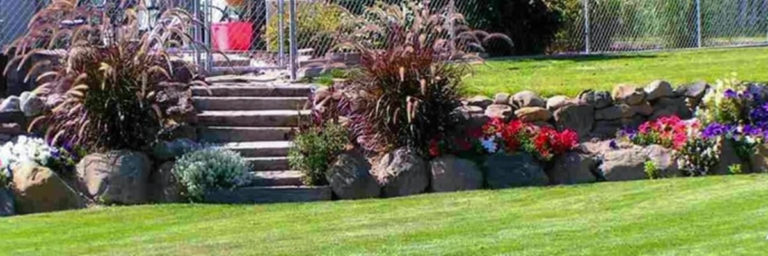 Hardscaping with flowers and shrubs